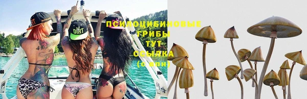 соль ск Бронницы