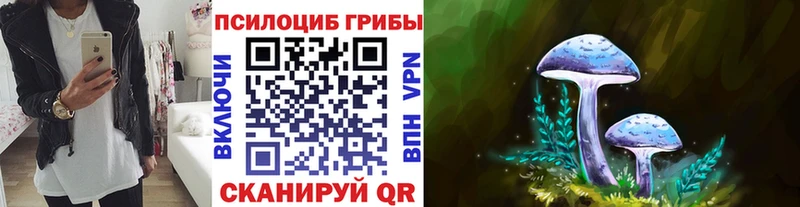 Галлюциногенные грибы Cubensis  купить закладку  Нижнекамск 