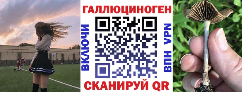 Галлюциногенные грибы прущие грибы Нижнекамск